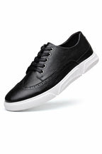 Harrington Brogue Sneakers